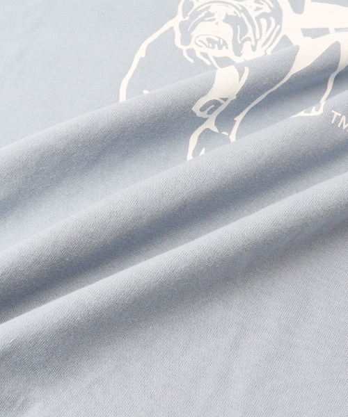 BACKYARD FAMILY(バックヤードファミリー)の「YALE SHORT SLEEVE T-SHIRT(Tシャツ/カットソー・メンズ・ホワイト/スカイブルー系・M)」の6枚目の写真