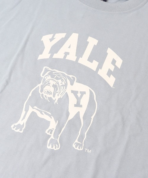 BACKYARD FAMILY(バックヤードファミリー)の「YALE SHORT SLEEVE T-SHIRT(Tシャツ/カットソー・メンズ・ホワイト/スカイブルー系・M)」の8枚目の写真