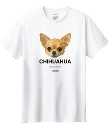 Moftique(モフティック) 半袖Tシャツ チワワ 犬 アニマル プリント 5.6オンス トップス カットソー メンズ ユニセックス