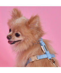 SUPERPET（スーパーペット）の「子犬散歩前面防止H型コットン胸リード5カラー（リード/ハーネス/首輪）」