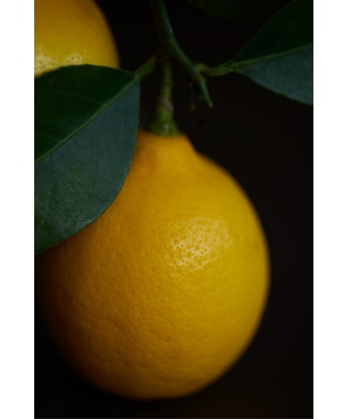 THREE(スリー)の「THREE バランシング クレンジング バーム 90g(クレンジング・レディース・その他・FREE)」の2枚目の写真