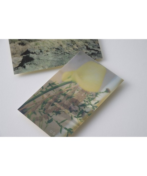 OSAJI(オサジ)の「オサジ ニュアンス リップグロス 2024HOLIDAY【数量限定】(口紅/リップティント/グロス・レディース・H21 Shugo〈主語〉・FREE)」の5枚目の写真