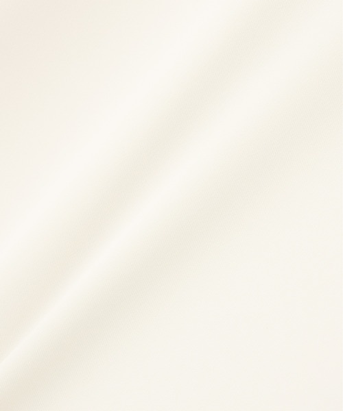 N.（N. Natural Beauty Basic）（エヌエヌナチュラルビューティーベーシック）の「シフォンラインＴブラウス（シャツ/ブラウス・レディース・グレイッシュベージュ/オフホワイト/ダークブルー・MEDIUM）」の15枚目の写真