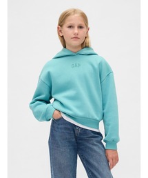 GAP(Mbv)̃Be[W\tg GAPSp[J[ (LbY)(p[J[)