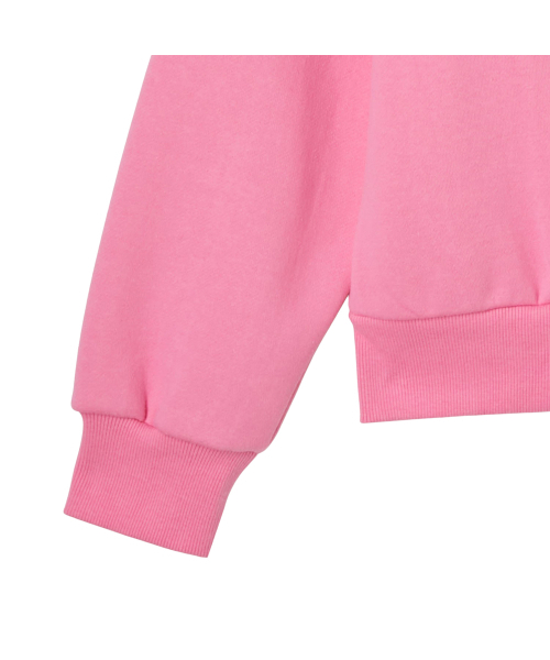 LAP（ラップ）の「フロッピ起毛ラウンドマンツーマン AR4CTA64（スウェット・レディース・ピンク/チャコール・FREE）」の3枚目の写真