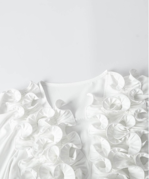 AMELY(エミリー)の「フロントフリルデザインブラウス(シャツ/ブラウス・レディース・ブラック/ホワイト・フリー)」の19枚目の写真