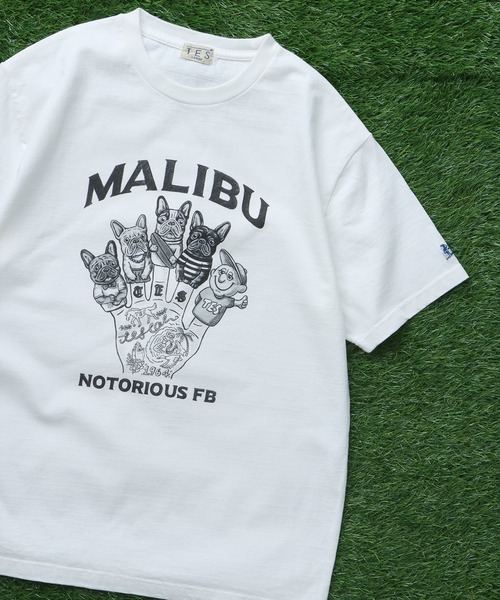 The Endless Summer(エンドレスサマー)の「TES NOTORIOUS FB FINGER PUPPET-TEE/ Tシャツ(Tシャツ/カットソー・メンズ・グリーン系その他3/ベージュ/ホワイト・X-LARGE/LARGE/MEDIUM/SMALL/XX-LARGE)」の2枚目の写真