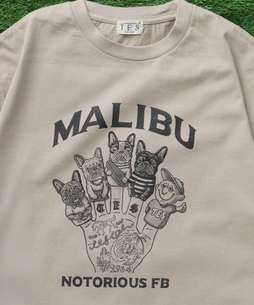 The Endless Summer(エンドレスサマー)の「TES NOTORIOUS FB FINGER PUPPET-TEE/ Tシャツ(Tシャツ/カットソー・メンズ・グリーン系その他3/ベージュ/ホワイト・X-LARGE/LARGE/MEDIUM/SMALL/XX-LARGE)」の5枚目の写真