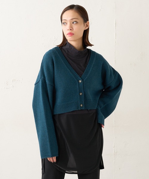 Lui's（ルイス）の「ショートカーディガン（カーディガン/ボレロ・レディース・ブラック/ブラウン/グリーン/ブルー・FREE）」の3枚目の写真