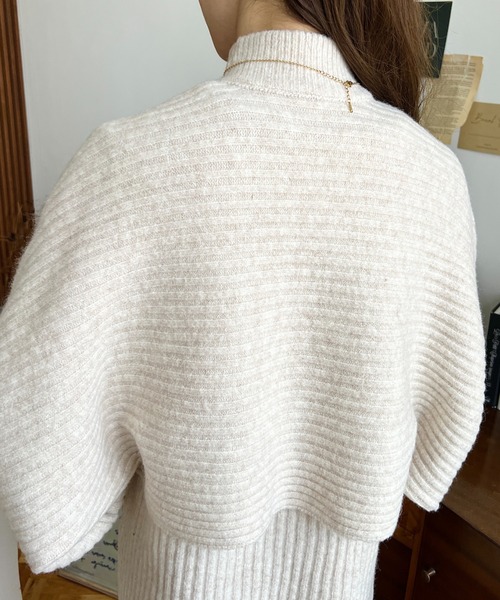 moment+(モーメントプラス)の「〈セットアップニット〉アルパカタッチハイネックショート丈プルオーバー&ノースリーブワンピース(ワンピース・レディース・グレー/チャコールグレー/ベージュ/アイボリー/ブラウン/ナチュラル・FREE/L/M)」の16枚目の写真