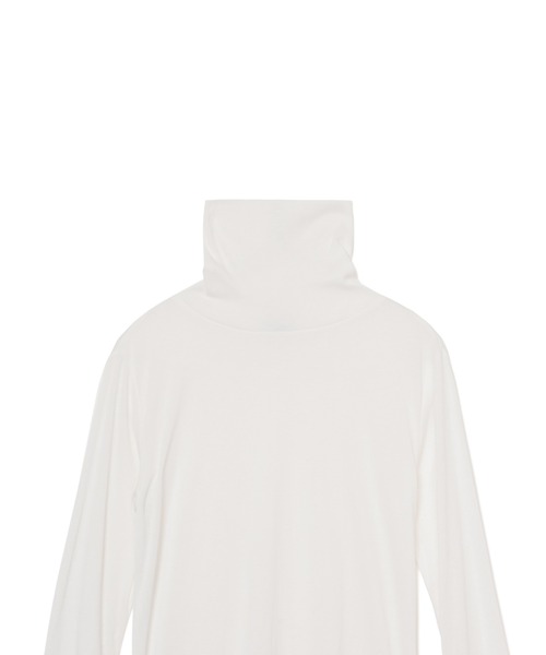 ライトシアータートル