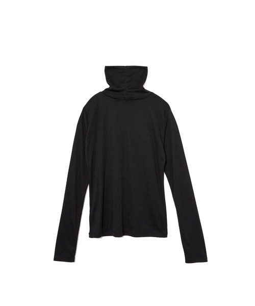 ライトシアータートル