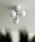 BRIDiubhj́uubh ^Cj[KX V[OCg Ɩ / BRID TINY GLASS CEILING LIGHTm03_dniƖjvbzCgn2