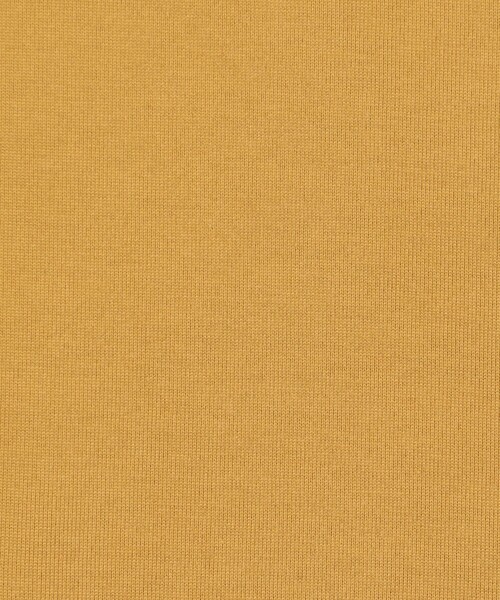 TOMORROWLAND （トゥモローランド）の「スビンコットン クルーネックカットソー（Tシャツ/カットソー・メンズ・イエロー/ネイビー/キャメル/ホワイト/ライトグレー/カーキ・L/M/S/XS）」の20枚目の写真