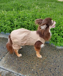 LiFam（リファム）の「プリーツショルダーワンピース・ロンパース（ペットウェア）」