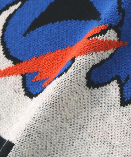 TAIN DOUBLE PUSH（タインダブルプッシュ）の「TAIN DOUBLE PUSH/タインダブルプッシュ/Exc. CREW KNIT（ニット/セーター・メンズ・ブラック/ブルー/ホワイト・L/M）」の11枚目の写真