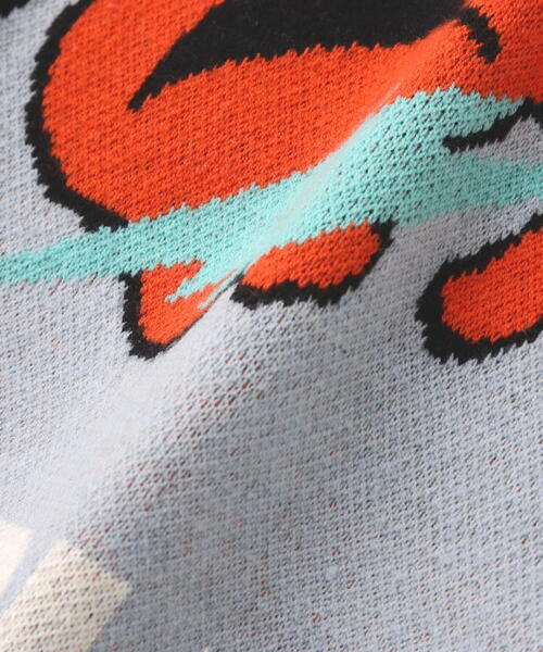 TAIN DOUBLE PUSH（タインダブルプッシュ）の「TAIN DOUBLE PUSH/タインダブルプッシュ/Exc. CREW KNIT（ニット/セーター・メンズ・ブラック/ブルー/ホワイト・L/M）」の12枚目の写真