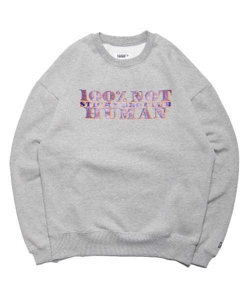 HAIGHT（ヘイト）の「ヘイト [HAIGHT]  - クルーネックスウェット [HTAW-243001 ALIEN BILL CREWNECK SWEAT]（スウェット・メンズ・グレー/ブラック/ホワイト・XX-LARGE/LARGE/X-LARGE）」の3枚目の写真