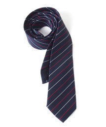 TopIsm（トップイズム）の「日本製 無地 チェック ストライプ 水玉 スリムタイ（ネクタイ）」