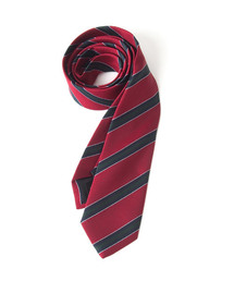 garsonwave(�M�����\���E�F�[�u)�̓��{�� ���n �`�F�b�N �X�g���C�v ���� �X�����^�C(�l�N�^�C)