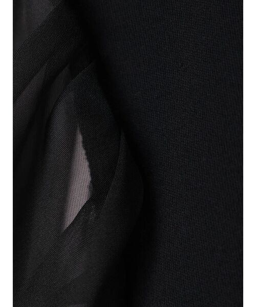 Sugar spoon（シュガースプーン）の「・SUGAR　SPOON　シアースリーブプルオーバー（Tシャツ/カットソー・レディース・ブラック/オフホワイト/ベージュ・FREE）」の20枚目の写真