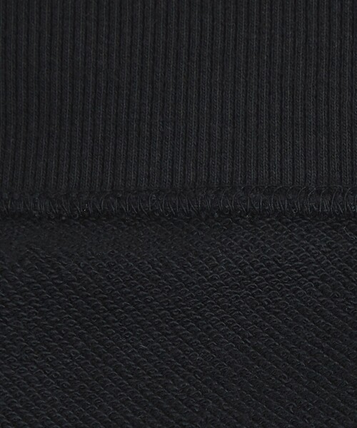 Champion（チャンピオン）の「【別注】＜Champion＞フレンチスリーブ スウェット プルオーバー カットソー（Tシャツ/カットソー・レディース・グレー/ブラック/ライトピンク・FREE）」の21枚目の写真