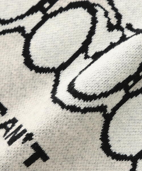 TAIN DOUBLE PUSH(タインダブルプッシュ)の「TAIN DOUBLE PUSH/タインダブルプッシュ/Exc. KNIT HOODIE(パーカー・メンズ・ブラック/ホワイト/ブルー・M/L)」の10枚目の写真
