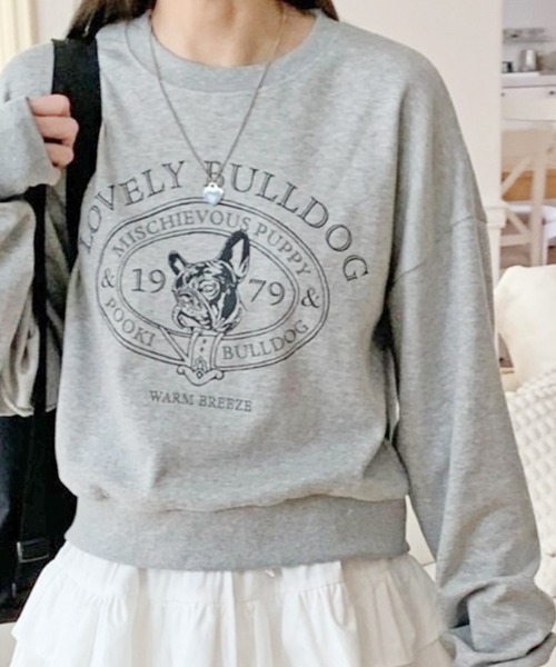 セール】College logo style bulldog print sweatshirt / カレッジロゴ