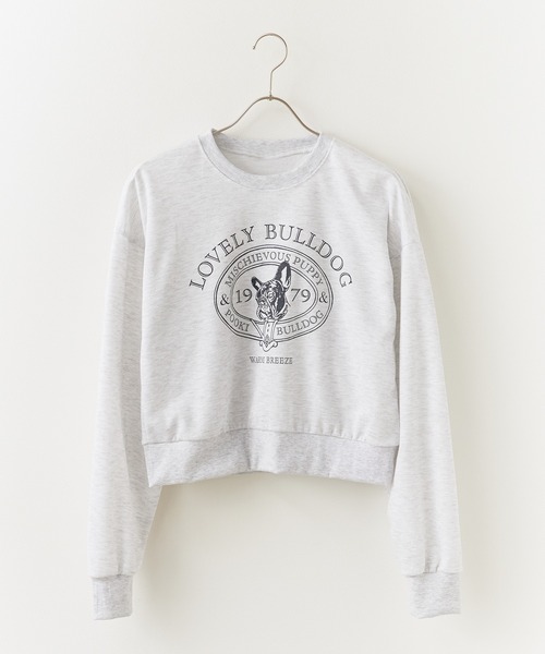 セール】College logo style bulldog print sweatshirt / カレッジロゴ
