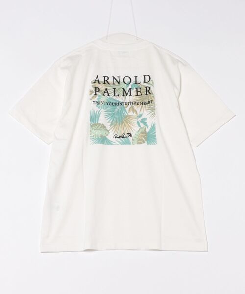Arnold Palmer（アーノルドパーマー）の「シェア アソート グラフィック Tシャツ（Tシャツ/カットソー・レディース・ホワイト系1/ホワイト系2/ブラック/スモークピンク/グレイッシュベージュ/チャコールグレー/ベージュ/グリーン・XS/S/M/L/LL）」の9枚目の写真
