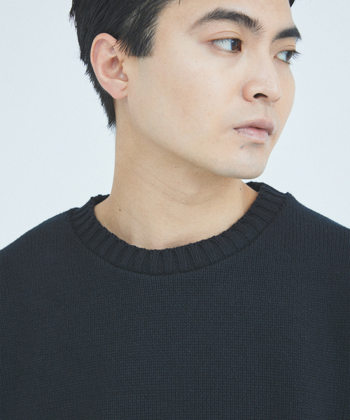 Stead / ホビー インターシャ ニット（ニット/セーター）｜JOURNAL