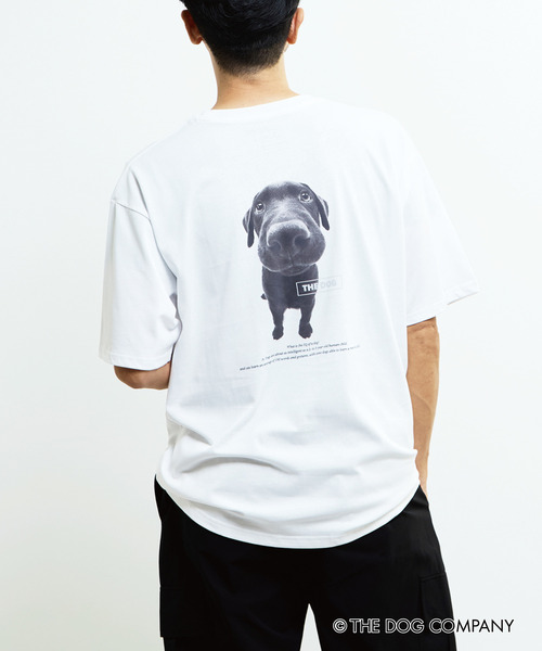 MASTER FRAME（マスターフレーム ）の「《別注》【MASTER FRAME/マスターフレーム】THE DOG AND FRIENDS Tシャツ（Tシャツ/カットソー・メンズ・ホワイト系その他/ホワイト系その他4/ホワイト系その他2/ホワイト系その他3/ホワイト系その他6/ホワイト系その他5・2/1/3）」の3枚目の写真