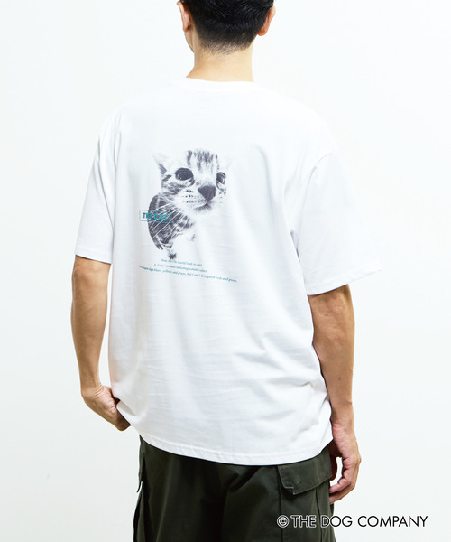 MASTER FRAME（マスターフレーム ）の「《別注》【MASTER FRAME/マスターフレーム】THE DOG AND FRIENDS Tシャツ（Tシャツ/カットソー・メンズ・ホワイト系その他/ホワイト系その他4/ホワイト系その他2/ホワイト系その他3/ホワイト系その他6/ホワイト系その他5・2/1/3）」の5枚目の写真