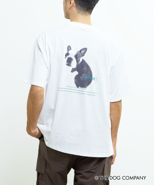 MASTER FRAME（マスターフレーム ）の「《別注》【MASTER FRAME/マスターフレーム】THE DOG AND FRIENDS Tシャツ（Tシャツ/カットソー・メンズ・ホワイト系その他/ホワイト系その他4/ホワイト系その他2/ホワイト系その他3/ホワイト系その他6/ホワイト系その他5・2/1/3）」の15枚目の写真