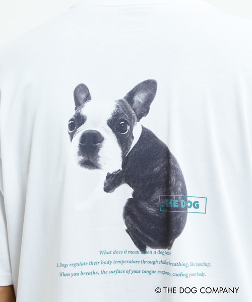 MASTER FRAME（マスターフレーム ）の「《別注》【MASTER FRAME/マスターフレーム】THE DOG AND FRIENDS Tシャツ（Tシャツ/カットソー・メンズ・ホワイト系その他/ホワイト系その他4/ホワイト系その他2/ホワイト系その他3/ホワイト系その他6/ホワイト系その他5・2/1/3）」の16枚目の写真