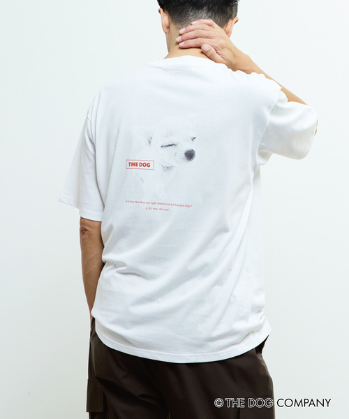 MASTER FRAME（マスターフレーム ）の「《別注》【MASTER FRAME/マスターフレーム】THE DOG AND FRIENDS Tシャツ（Tシャツ/カットソー・メンズ・ホワイト系その他/ホワイト系その他4/ホワイト系その他2/ホワイト系その他3/ホワイト系その他6/ホワイト系その他5・2/1/3）」の22枚目の写真