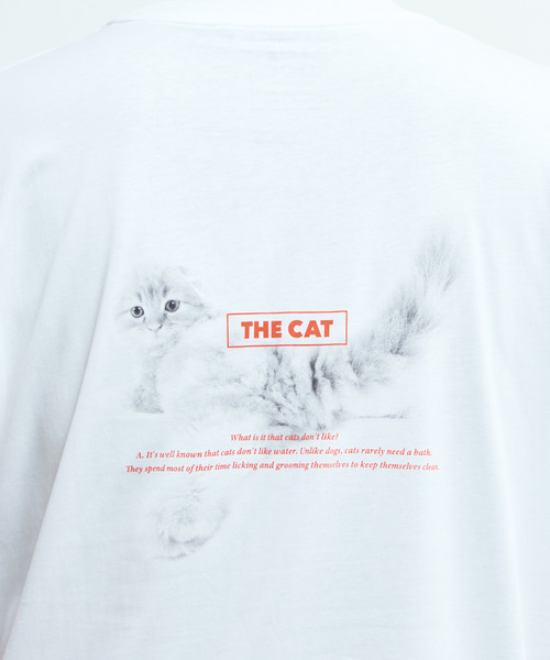 MASTER FRAME（マスターフレーム ）の「《別注》【MASTER FRAME/マスターフレーム】THE DOG AND FRIENDS Tシャツ（Tシャツ/カットソー・メンズ・ホワイト系その他/ホワイト系その他4/ホワイト系その他2/ホワイト系その他3/ホワイト系その他6/ホワイト系その他5・2/1/3）」の9枚目の写真