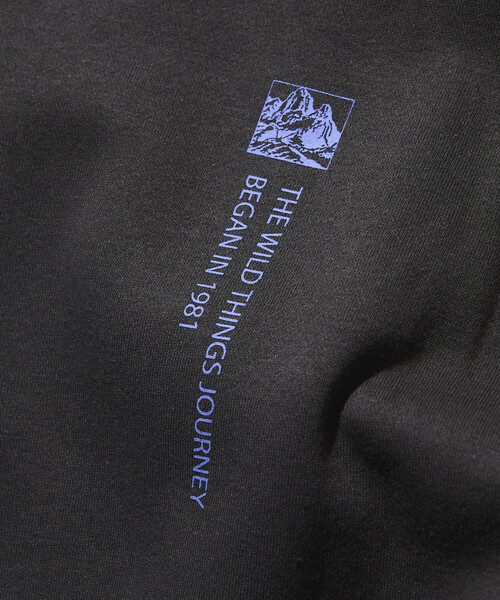 FREAK'S STORE（フリークスストア）の「限定展開 WILD THINGS×FREAK'S STORE/ワイルドシングス 別注 ビッグシルエット マルチプリントデザイン クルーネックスウェット（スウェット・メンズ・グレイッシュベージュ/ブラック/アッシュグレー/スミクロ・SMALL/MEDIUM/LARGE）」の13枚目の写真