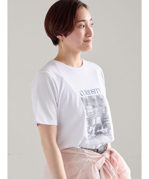 Te chichi(テチチ)の「アソートネコフォトスタンダードTシャツ(Tシャツ/カットソー・レディース・レッド/ブルー/ブラック・F)」の10枚目の写真