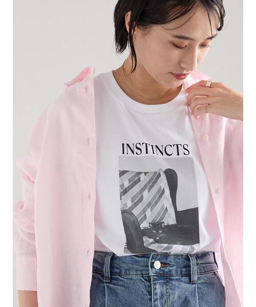 Te chichi(テチチ)の「アソートネコフォトスタンダードTシャツ(Tシャツ/カットソー・レディース・レッド/ブルー/ブラック・F)」の13枚目の写真