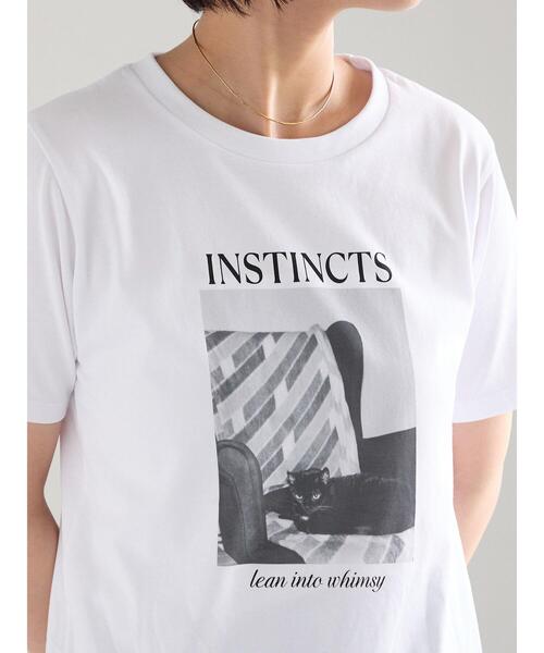 Te chichi(テチチ)の「アソートネコフォトスタンダードTシャツ(Tシャツ/カットソー・レディース・レッド/ブルー/ブラック・F)」の15枚目の写真