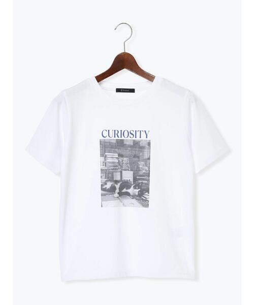 Te chichi(テチチ)の「アソートネコフォトスタンダードTシャツ(Tシャツ/カットソー・レディース・レッド/ブルー/ブラック・F)」の17枚目の写真