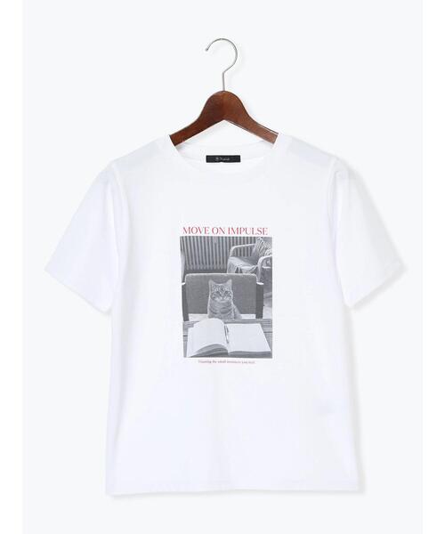 Te chichi(テチチ)の「アソートネコフォトスタンダードTシャツ(Tシャツ/カットソー・レディース・レッド/ブルー/ブラック・F)」の19枚目の写真