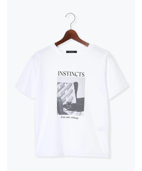 Te chichi(テチチ)の「アソートネコフォトスタンダードTシャツ(Tシャツ/カットソー・レディース・レッド/ブルー/ブラック・F)」の20枚目の写真