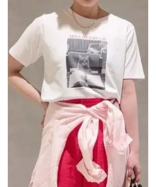 Te chichi(テチチ)の「アソートネコフォトスタンダードTシャツ(Tシャツ/カットソー・レディース・レッド/ブルー/ブラック・F)」の1枚目の写真