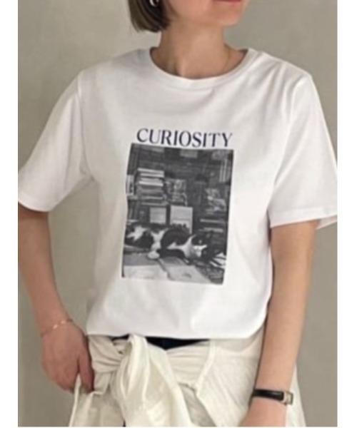 Te chichi(テチチ)の「アソートネコフォトスタンダードTシャツ(Tシャツ/カットソー・レディース・レッド/ブルー/ブラック・F)」の3枚目の写真