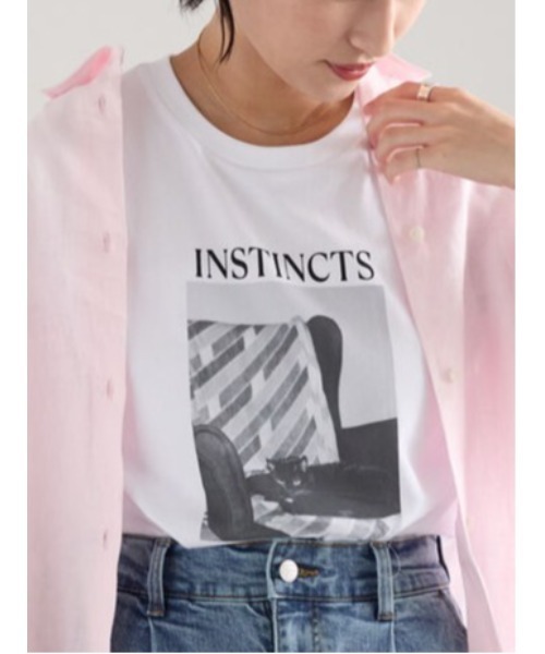 Te chichi(テチチ)の「アソートネコフォトスタンダードTシャツ(Tシャツ/カットソー・レディース・レッド/ブルー/ブラック・F)」の2枚目の写真