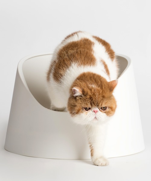 【新品】ピダン　オープン型　猫用トイレ ホワイト 新品】ピダン オープン型 猫用トイレ ホワイト 新品】ピダン