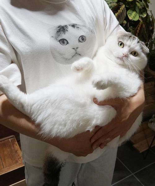 niko and...（ニコアンド）の「＠OjarinnネコアンドプリントTシャツ（Tシャツ/カットソー・レディース・オフホワイト/チャコール・MEDIUM/LARGE）」の11枚目の写真