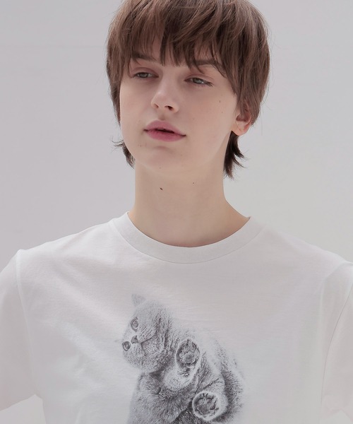 DRESSLAVE（ドレスレイブ）の「BOSS T-shirt(猫プリントハーフスリーブTシャツ)（Tシャツ/カットソー・レディース・ホワイト・38）」の3枚目の写真